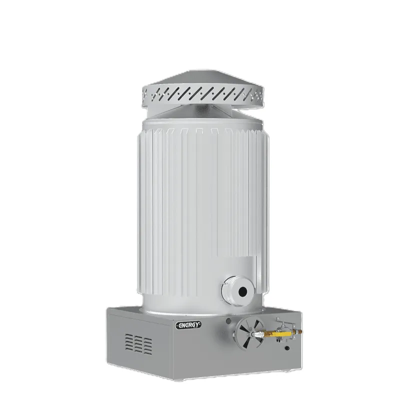 GW0460-1 بخاری کارگاهی گازی انرژی GW0460